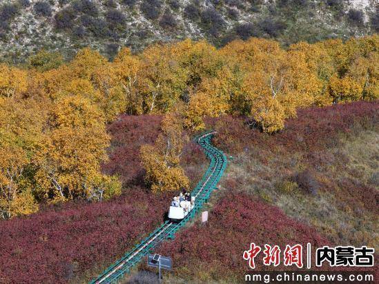 日文旅盛宴“出圈”j9平台马鞍岭秋(图2)